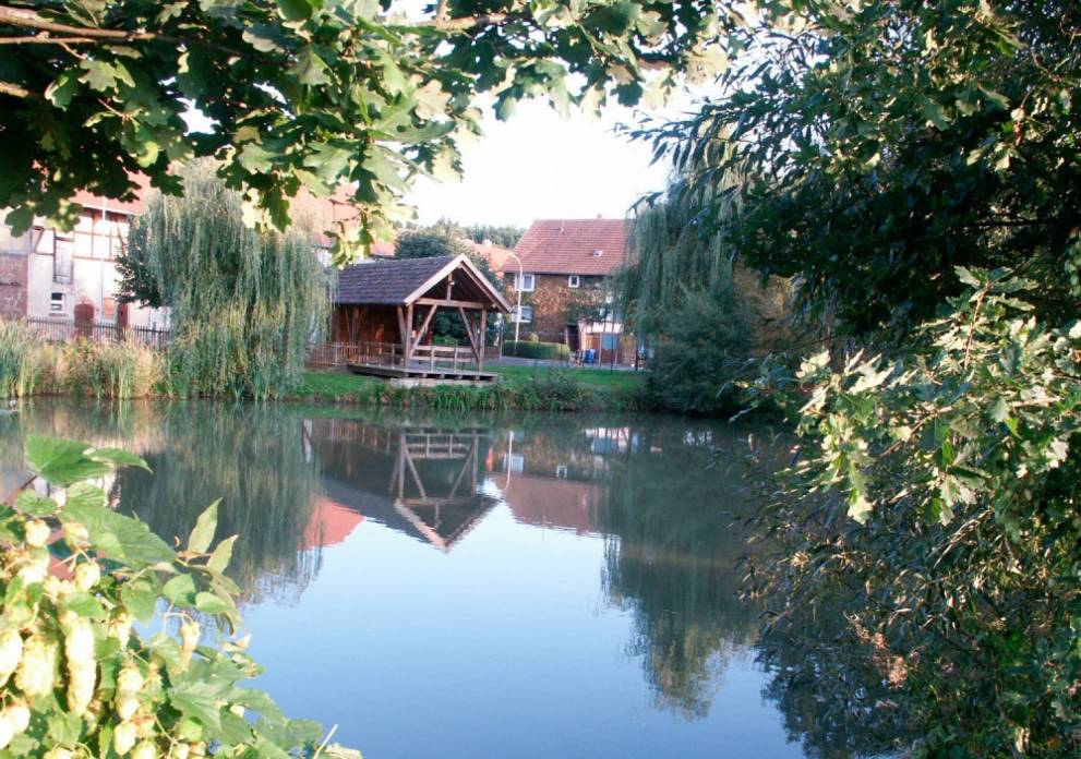 Keiner See mit Bäumen die sich im Wasser spiegeln im Hintergrund Häuser